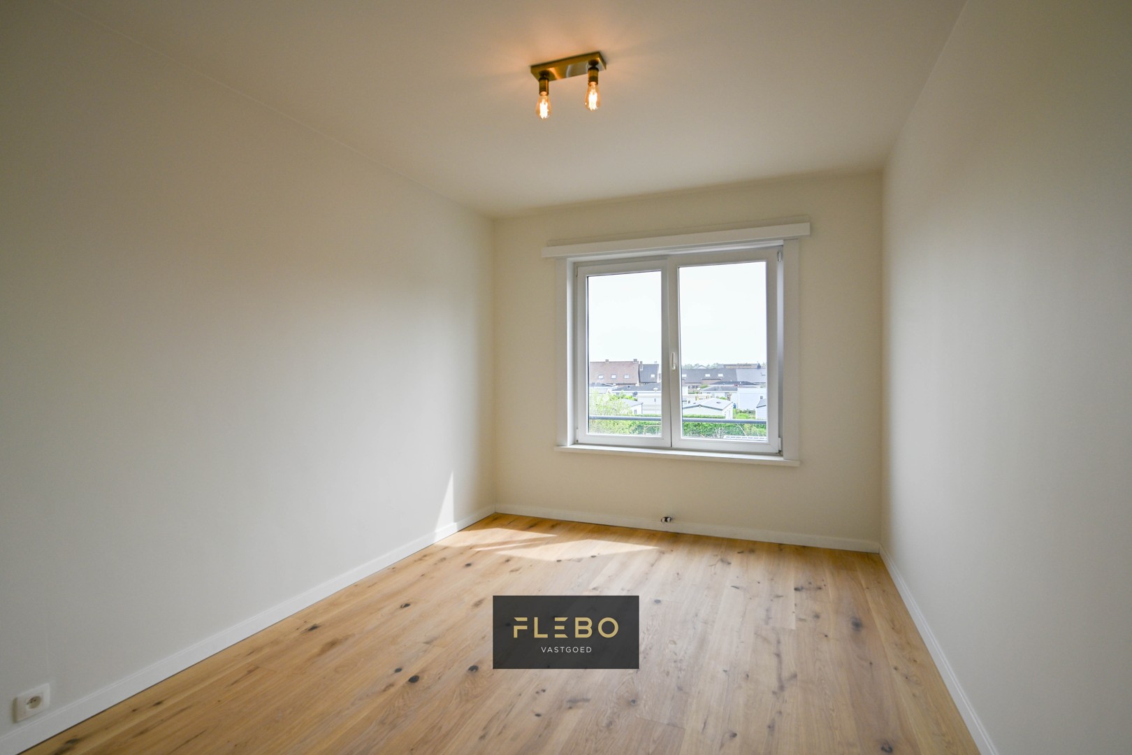 Slideshow image 8