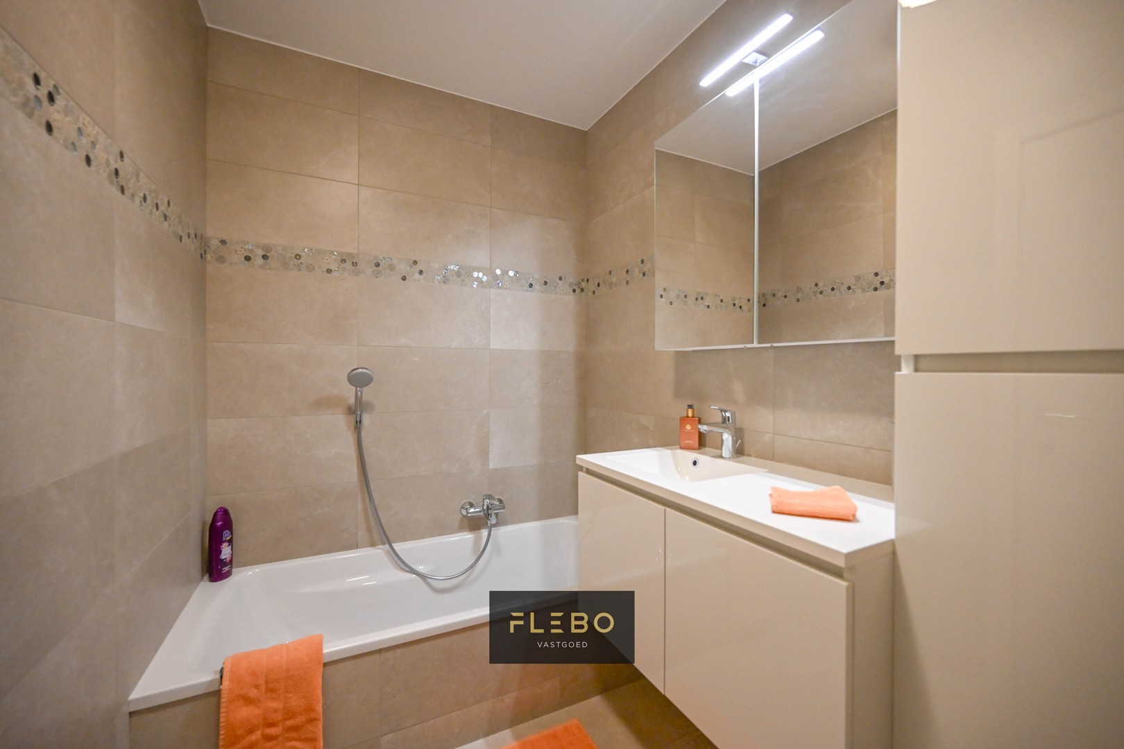 Slideshow image 10