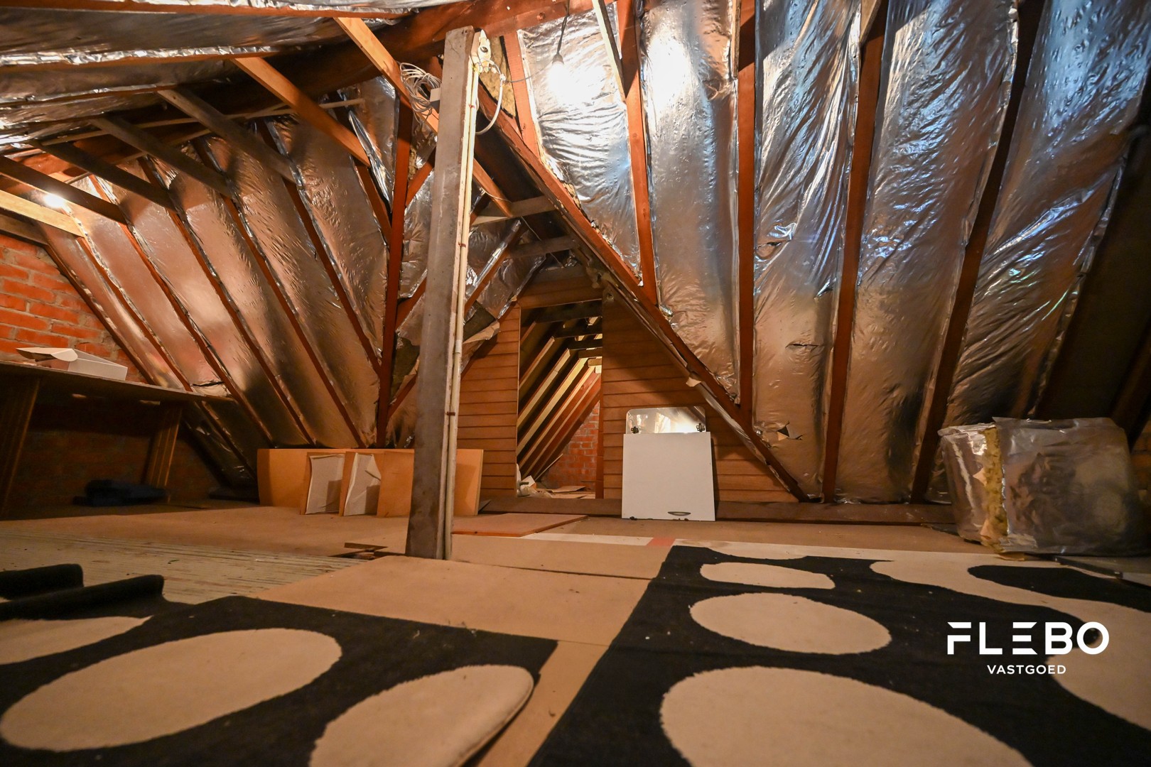 Slideshow image 11