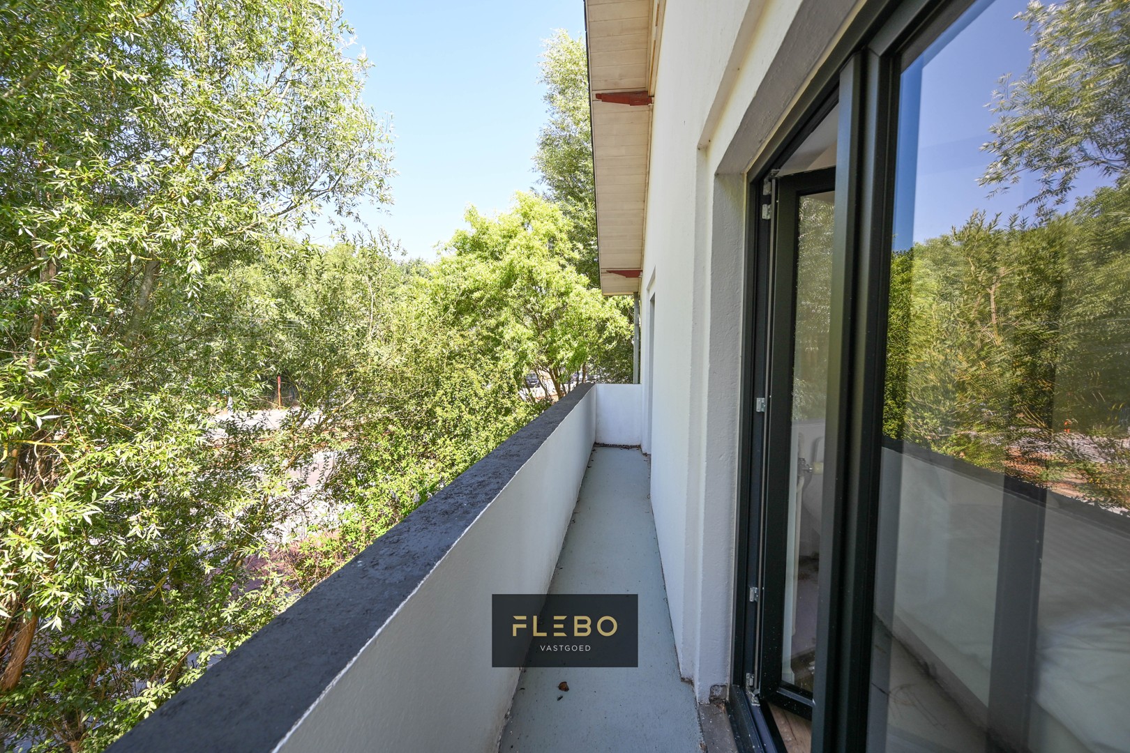 Slideshow image 11